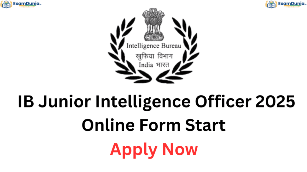IB Junior Intelligence Officer 2025