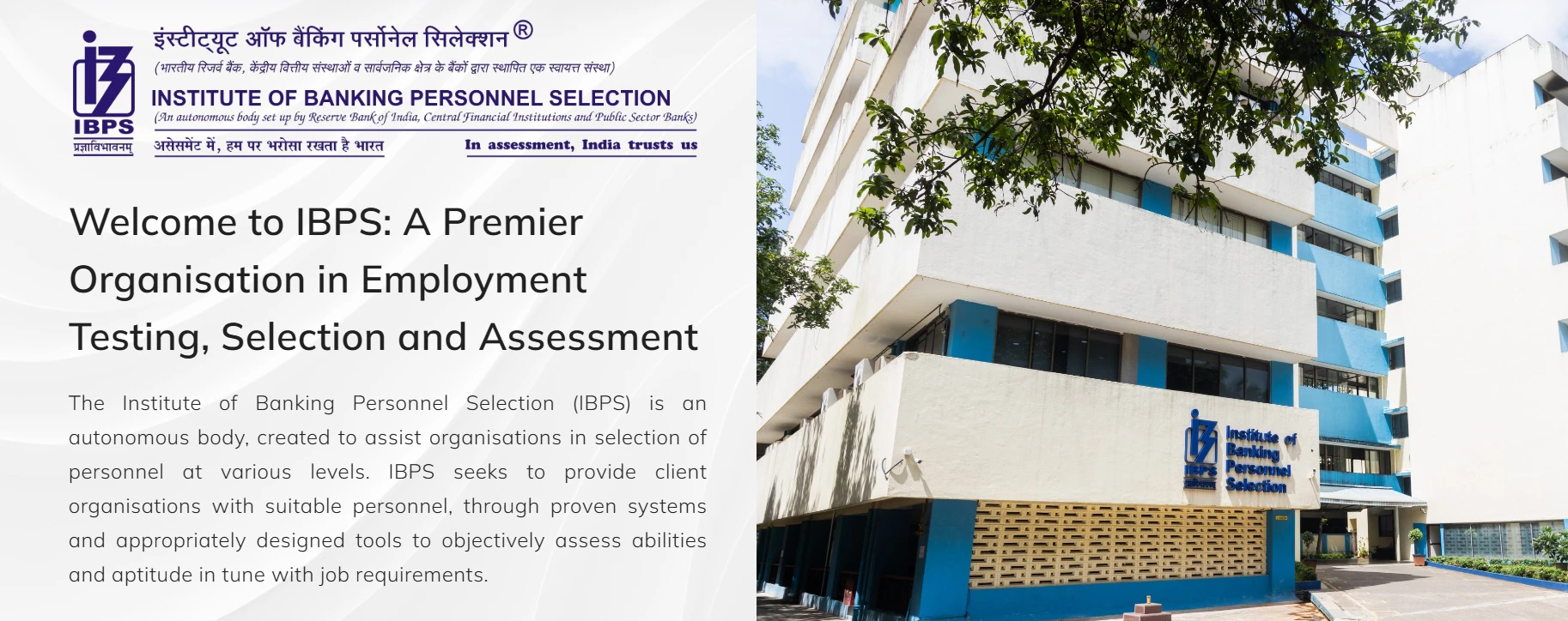 IBPS Clerk Recruitment 2025